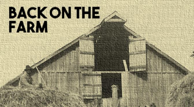 Back on the Farm