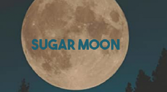 Sugar Moon